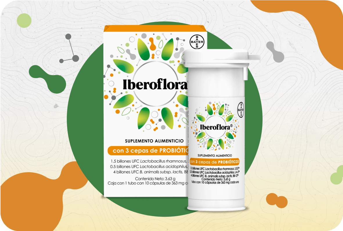 Iberoflora adultos